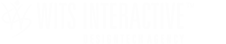 WITS Interactive