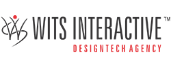 WITS Interactive